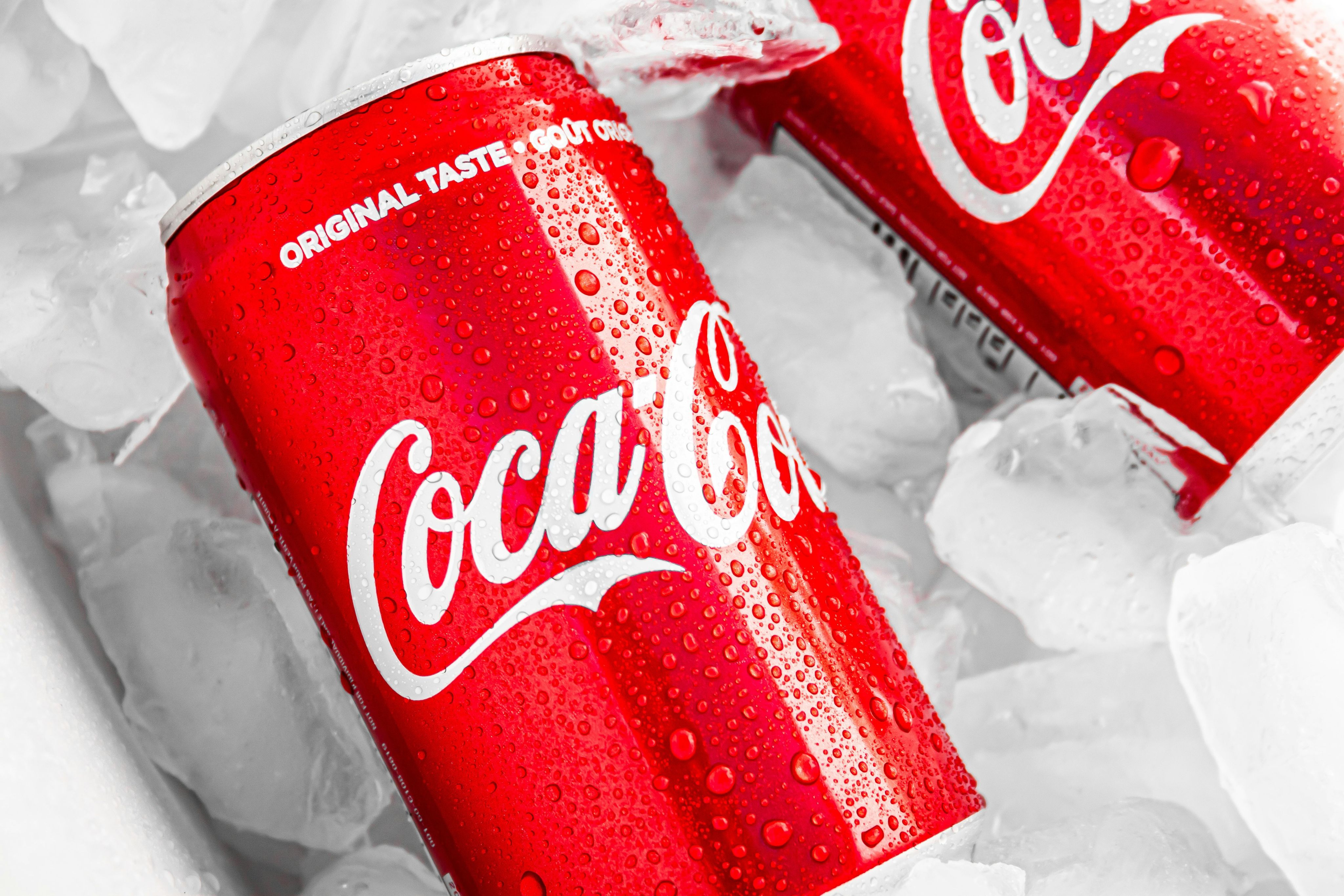 Coca-Cola (24 Pack)
